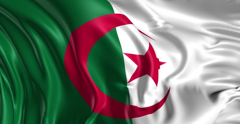 ERP en Algérie, ERP Algérie